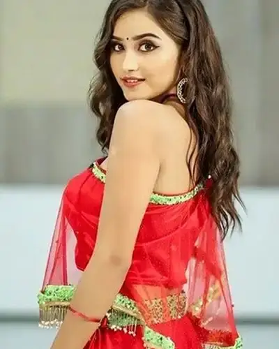 Call Girls Service Bhadra